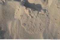 sand beach desert 0014